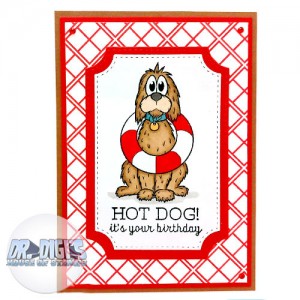 Bruces buddy Bruno Bruces buddy Bruno